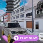 Indian Car PRO Simulator